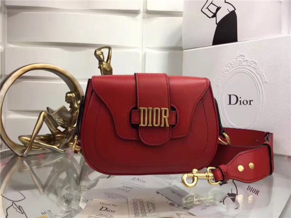 Dior D-Fence saddle bag 55037 (Varied Colors) - Image 22