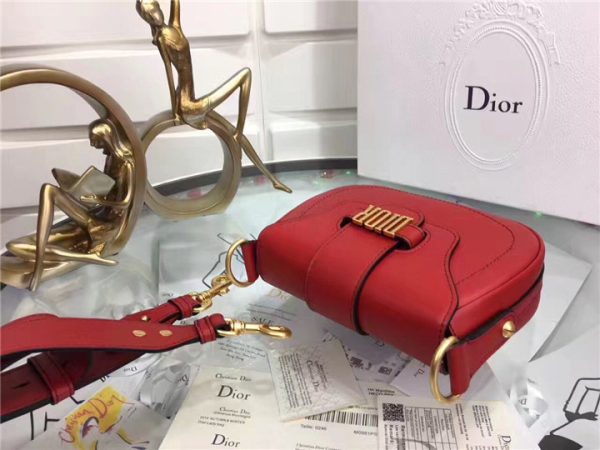 Dior D-Fence saddle bag 55037 (Varied Colors) - Image 26