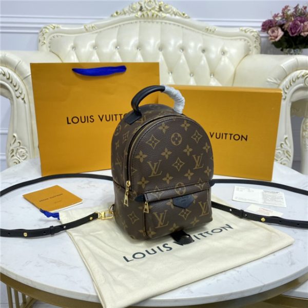 Louis Vuitton Palm Springs Mini - Image 2