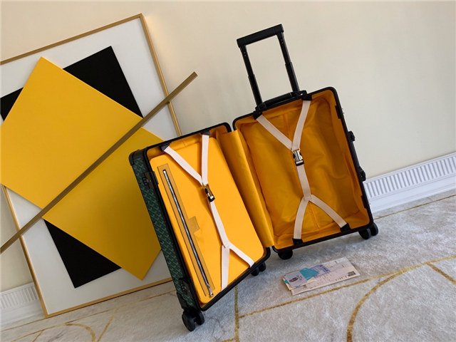 Goyard HORIZON Luggage 55 (Varied Colors) - Image 17