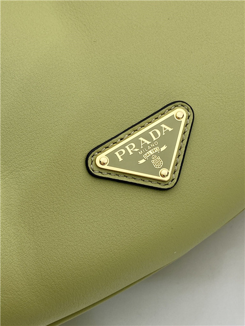Prada Demi-Lune Large Leather Shoulder Bag 1BC255 Pistachio-8.jpg