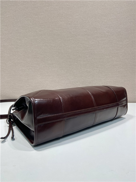 Prada Bonnie Large 1BA433 Dark Brown-7.jpg