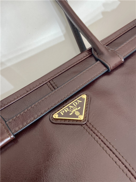 Prada Bonnie Large 1BA433 Dark Brown-8.jpg