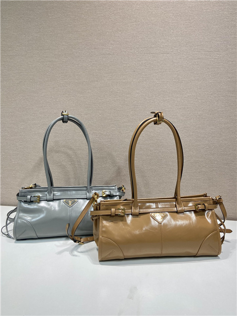 Prada Bonnie Medium 1BA426 Cameo-13.jpg