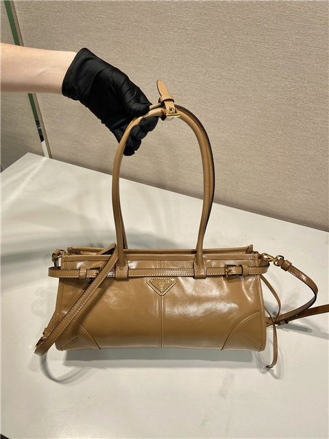 Prada Bonnie Medium 1BA426 Cameo-3.jpg
