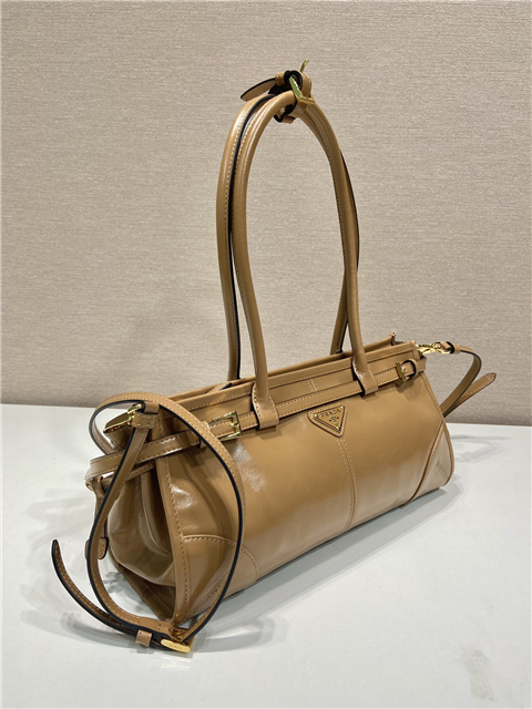 Prada Bonnie Medium 1BA426 Cameo-4.jpg