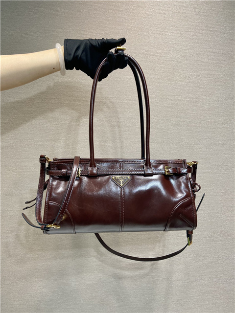 Prada Bonnie Medium 1BA426 Dark Brown-1.jpg