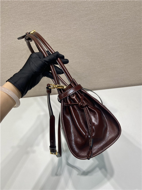 Prada Bonnie Medium 1BA426 Dark Brown-5.jpg