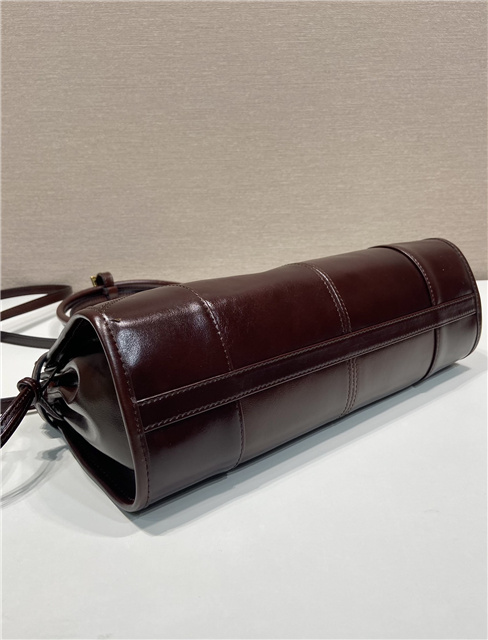 Prada Bonnie Medium 1BA426 Dark Brown-7.jpg