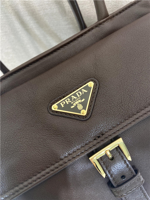Prada Explore Medium Tote Bag 1BG596 Sienna Nappa-8.jpg