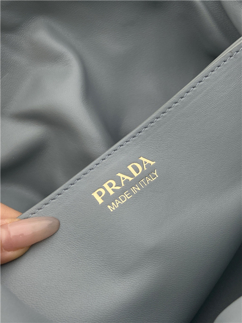 Prada Small Dada Bag 1BG586 Blue-9.jpg