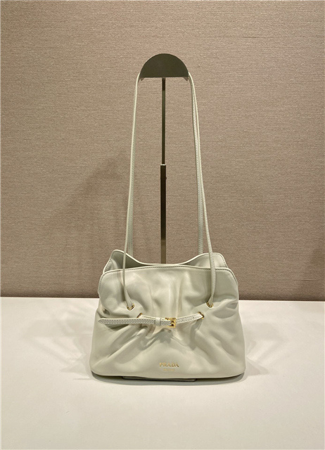 Prada Small Dada Bag 1BG586 Ivory-2.jpg
