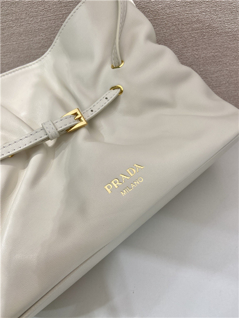 Prada Small Dada Bag 1BG586 Ivory-8.jpg