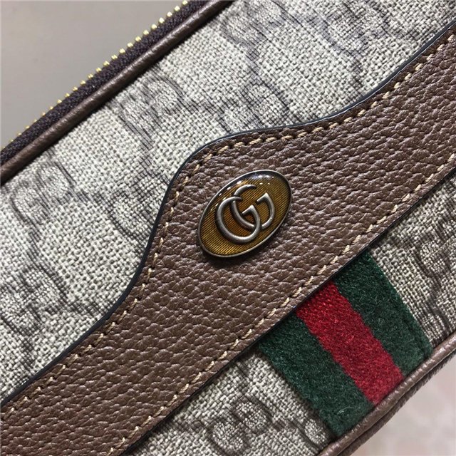 Gucci Ophidia Mini GG bag - Image 6