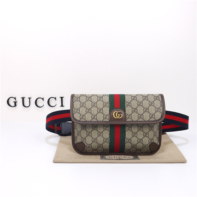 Ophidia GG Small Belt Bag 752597 Brown-1.jpg